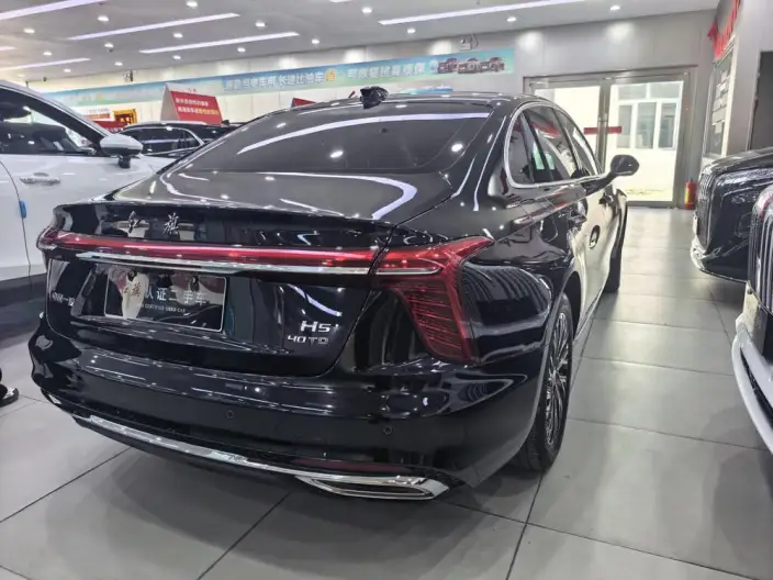 Hongqi H5 2025 Model 2.0T Automatic Flag Enjoy Edition – фото 6