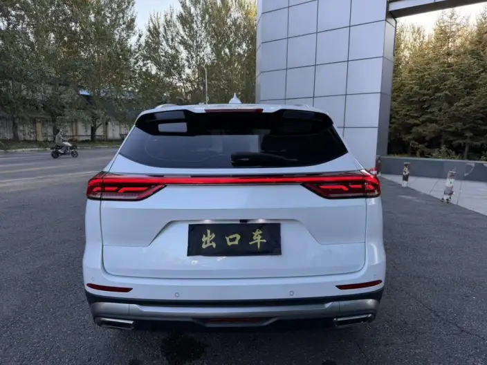 Haval H6 2021 Model Guo Trendy Edition 1.5T Automatic Champion Edition – фото 4