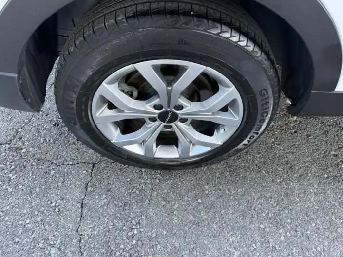 Haval H6 2021 Model Guo Trendy Edition 1.5T Automatic Champion Edition – фото 7