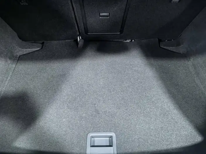 Volkswagen Golf 2021 Model 280TSI DSG Pro – фото 8