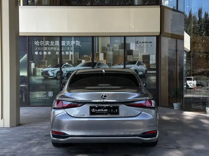 Lexus ES 2020 Model 200 Superior Edition China VI – фото 3