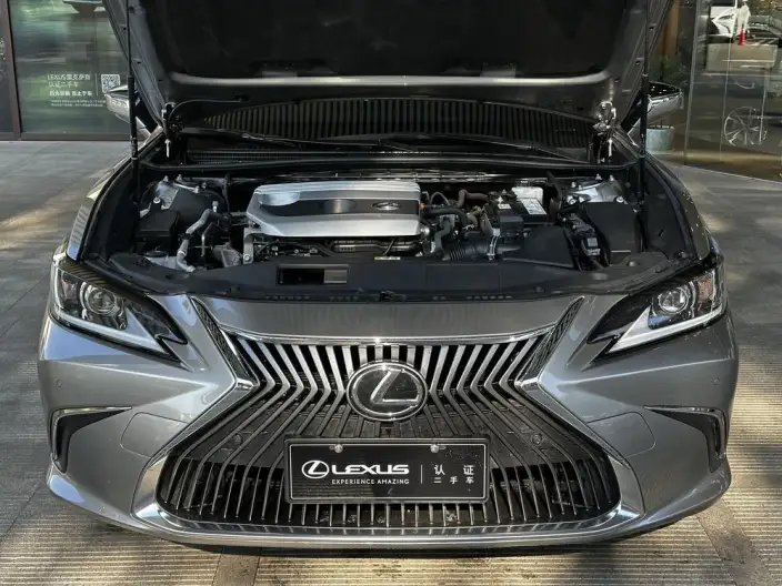 Lexus ES 2020 Model 200 Superior Edition China VI – фото 5
