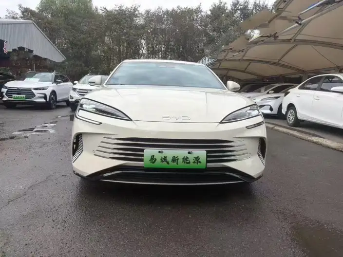 BYD Seal DM 2024 Model Honor Edition DM-i 1.5L 121KM Luxury Model – фото 2