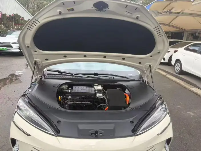 BYD Seal DM 2024 Model Honor Edition DM-i 1.5L 121KM Luxury Model – фото 9