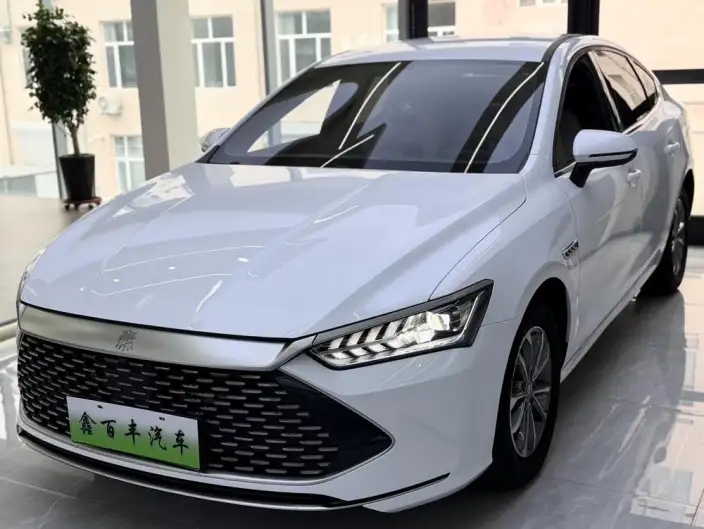 BYD Qin PLUS DM 2024 Model Honor Edition DM-i 55KM Leading Model – фото 1
