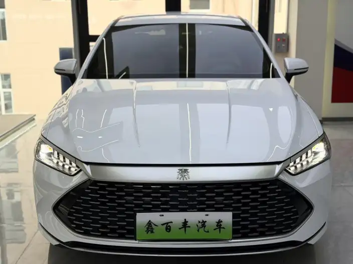 BYD Qin PLUS DM 2024 Model Honor Edition DM-i 55KM Leading Model – фото 2