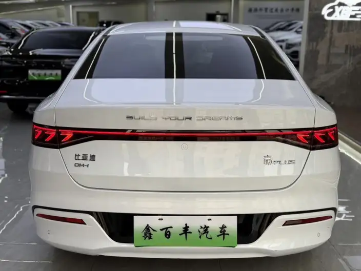BYD Qin PLUS DM 2024 Model Honor Edition DM-i 55KM Leading Model – фото 5