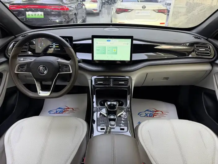 BYD Qin PLUS DM 2024 Model Honor Edition DM-i 55KM Leading Model – фото 8