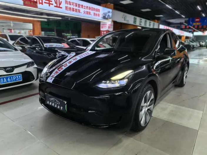 Model Y 2022 Model Rear-wheel drive version – фото 1