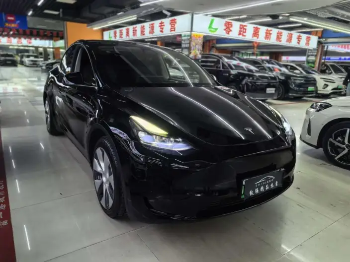Model Y 2022 Model Rear-wheel drive version – фото 3