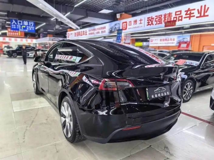 Model Y 2022 Model Rear-wheel drive version – фото 4