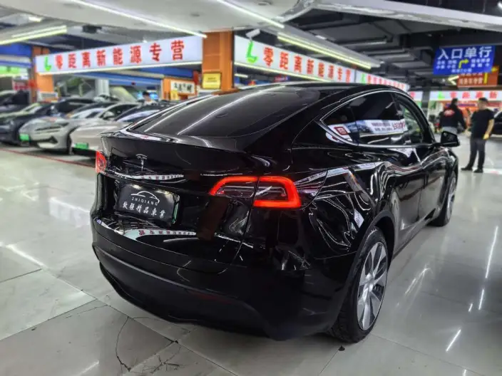 Model Y 2022 Model Rear-wheel drive version – фото 6