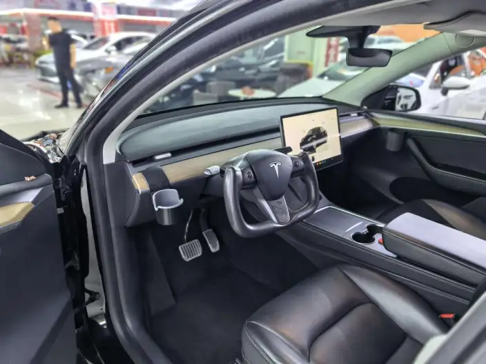 Model Y 2022 Model Rear-wheel drive version – фото 7