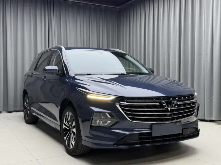 Wuling Victory 2022 Model 1.5T CVT Flagship Model – фото 3