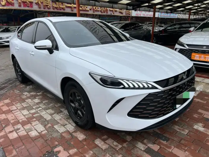 BYD Qin PLUS DM 2025 Model Smart Driving Edition DM-i 55KM Leading Model – фото 3