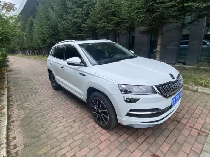 Karoq 2023 Model TSI280 Exclusive Edition – фото 3
