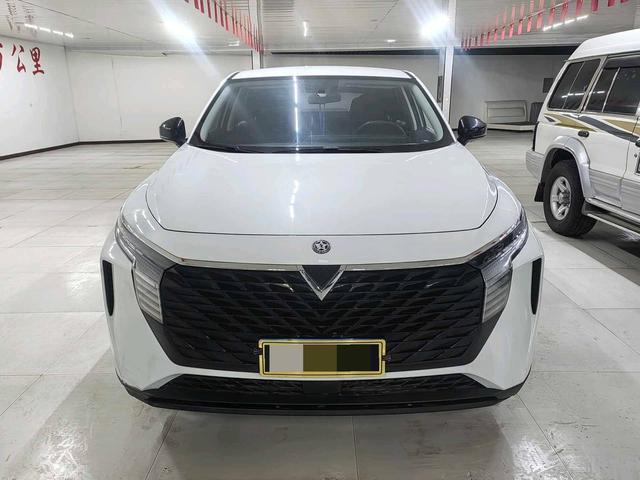 Venucia Big V 2022 260T King Edition – фото 2