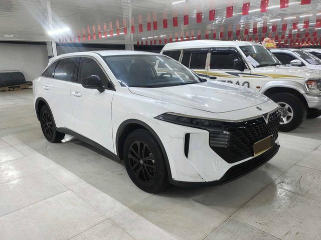 Venucia Big V 2022 260T King Edition – фото 3