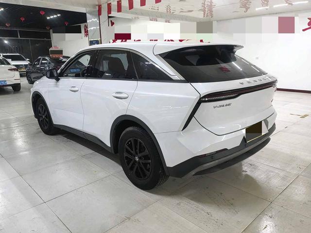 Venucia Big V 2022 260T King Edition – фото 9
