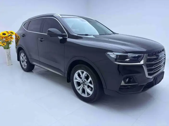 Haval H6 2021 Model Guo Trendy Edition 1.5T Automatic Champion Edition – фото 3