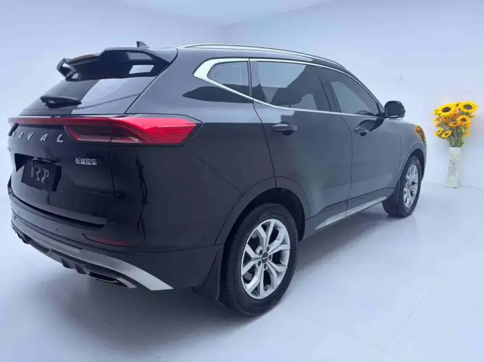 Haval H6 2021 Model Guo Trendy Edition 1.5T Automatic Champion Edition – фото 6