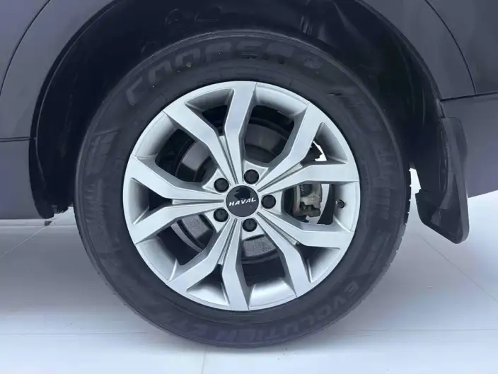 Haval H6 2021 Model Guo Trendy Edition 1.5T Automatic Champion Edition – фото 7