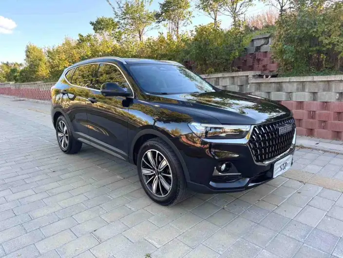 Haval H6 2023 Model Guo Trendy Edition 1.5T Automatic Champion Edition – фото 3