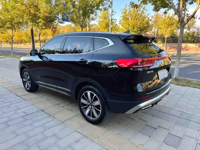 Haval H6 2023 Model Guo Trendy Edition 1.5T Automatic Champion Edition – фото 4