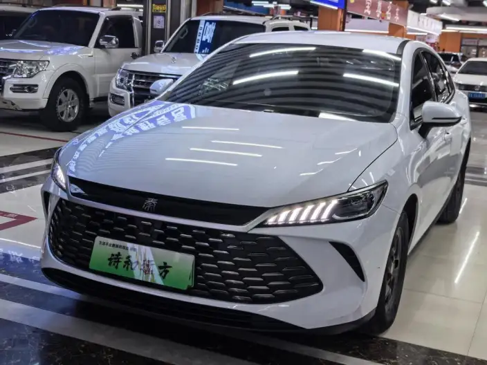 BYD Qin PLUS DM 2025 Model Smart Driving Edition DM-i 55KM Leading Model – фото 1