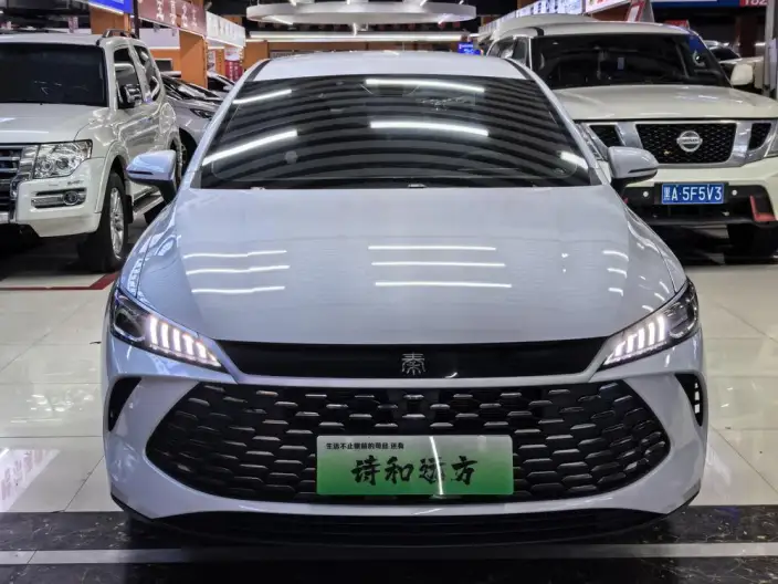 BYD Qin PLUS DM 2025 Model Smart Driving Edition DM-i 55KM Leading Model – фото 2