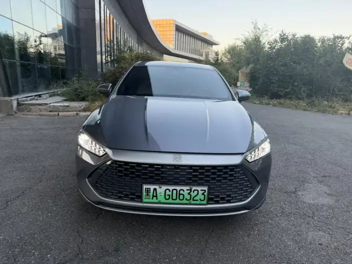 BYD Qin PLUS DM 2024 Model Honor Edition DM-i 55KM Leading Model – фото 2