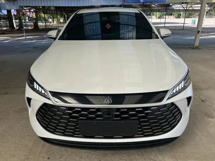 BYD Qin PLUS DM 2026 Model DM-i 210KM Enterprising Model – фото 2