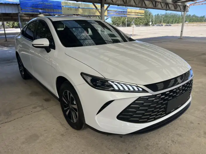 BYD Qin PLUS DM 2026 Model DM-i 210KM Enterprising Model – фото 3