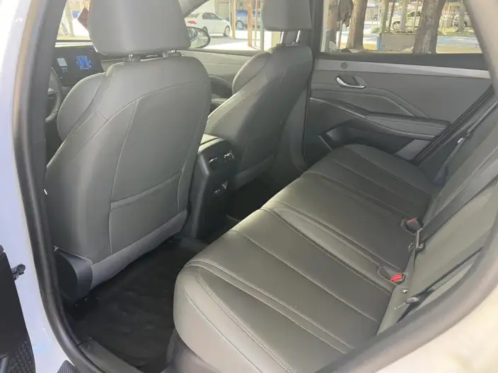 BYD Qin PLUS DM 2026 Model DM-i 210KM Enterprising Model – фото 10
