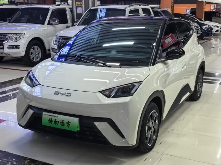 BYD Seagull 2025 Model 305KM Vitality Edition – фото 1