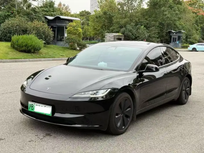 Model 3 2025 Model Rear-wheel drive version – фото 1