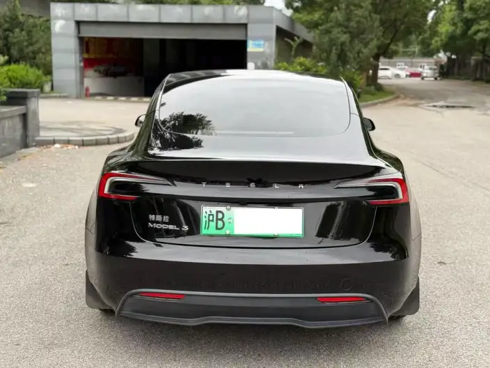 Model 3 2025 Model Rear-wheel drive version – фото 4