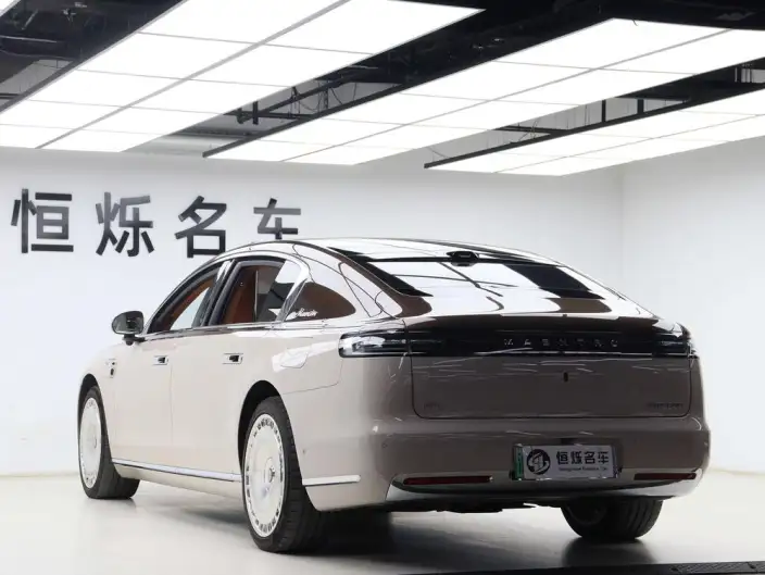 Zunjie S800 2025 Model Extended Range Star Edition Executive Edition 4 seat – фото 4