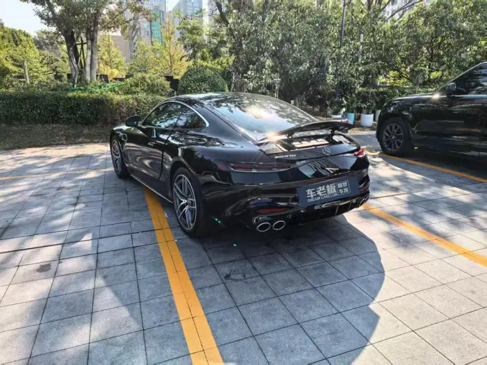 AMG GT 2025 Model AMG GT 50 – фото 4
