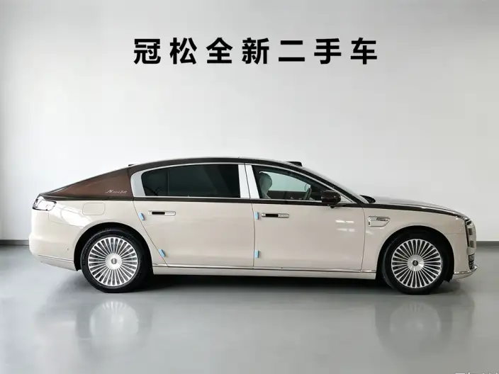 Zunjie S800 2025 Model Extended Range Starlight Executive Edition 4 seat – фото 5