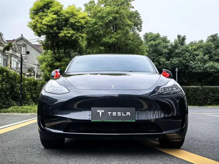 Model Y 2024 Model Rear-wheel drive version – фото 2