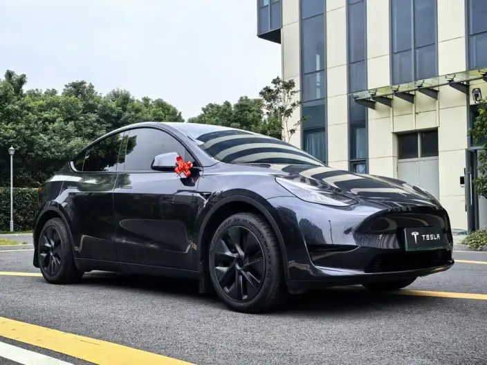 Model Y 2024 Model Rear-wheel drive version – фото 3