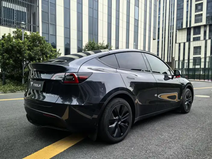 Model Y 2024 Model Rear-wheel drive version – фото 7