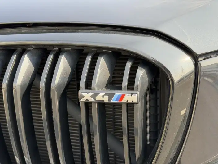 BMW X4 M 2021 Model X4 M Thunder Edition – фото 10
