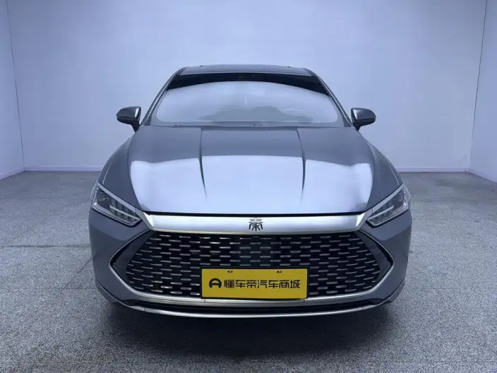 BYD Qin PLUS DM 2021 Model DM-i 55KM Flagship Model – фото 2