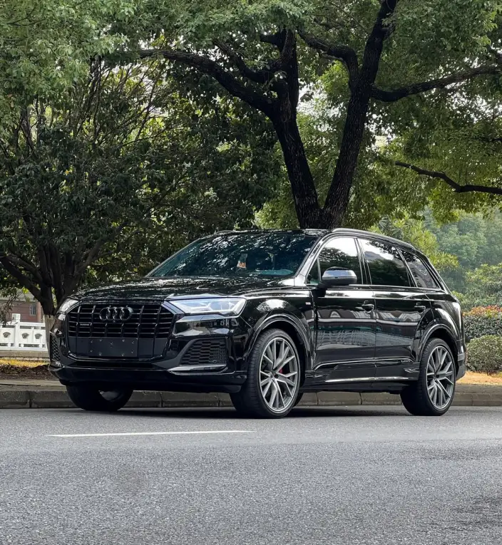 Audi Q7 2023 Model 55 TFSI quattro S line Snow Sports Edition – фото 1