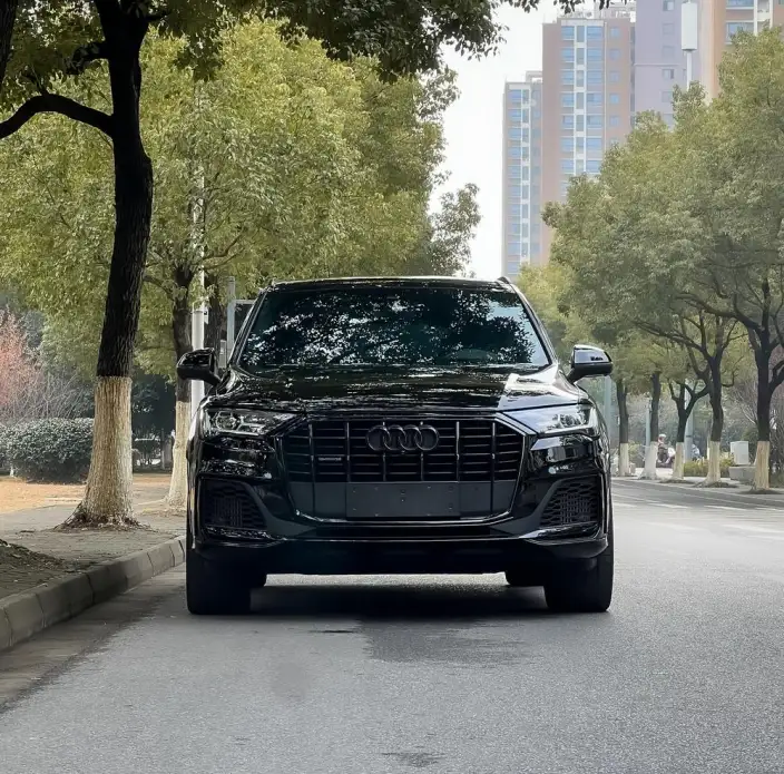 Audi Q7 2023 Model 55 TFSI quattro S line Snow Sports Edition – фото 2