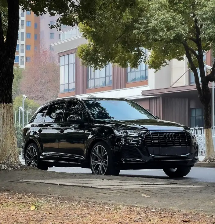 Audi Q7 2023 Model 55 TFSI quattro S line Snow Sports Edition – фото 3