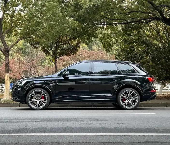 Audi Q7 2023 Model 55 TFSI quattro S line Snow Sports Edition – фото 4