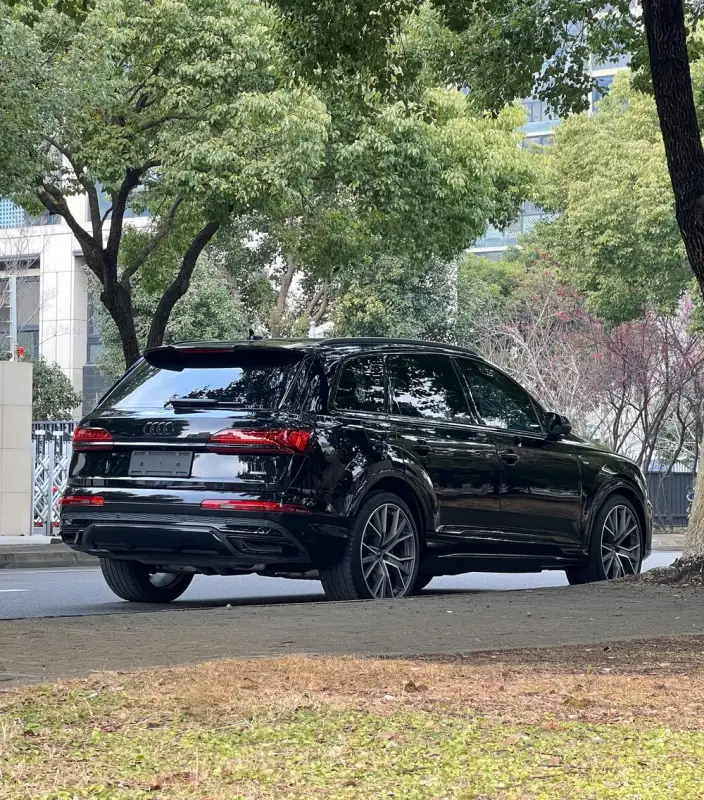 Audi Q7 2023 Model 55 TFSI quattro S line Snow Sports Edition – фото 7